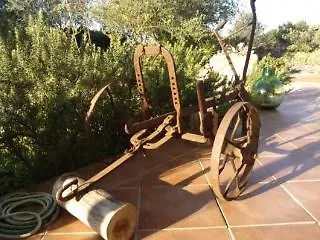 Arcamyrtus Country Holiday Home 알게로 호텔