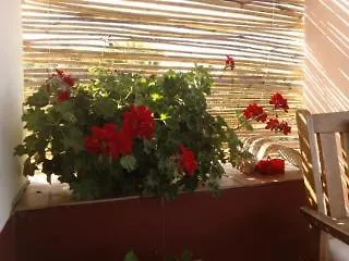 Arcamyrtus Country Holiday Home Alguer Italia
